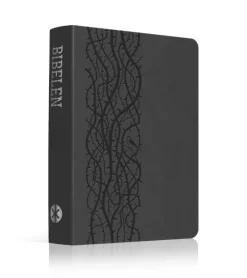 Scandinavia Bibelen på Hverdagsdansk 2024, TREND, grå* Bibelen På Hverdagsdansk|Bibelen