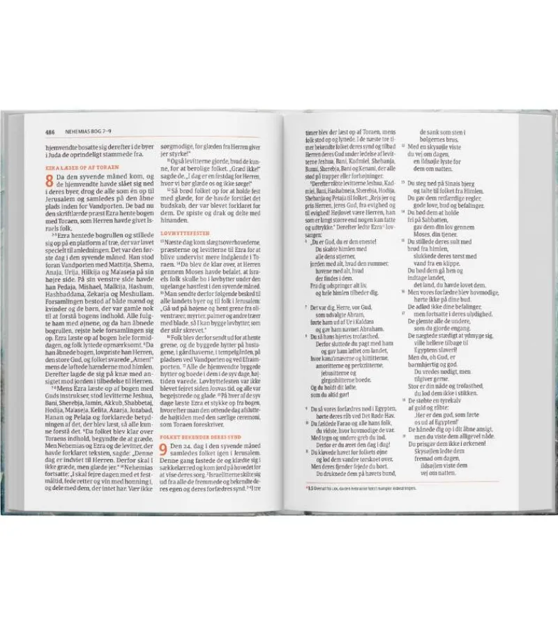 Scandinavia Bibelen på Hverdagsdansk 2024, Brun kunstlæder* Bibelen På Hverdagsdansk|Bibelen