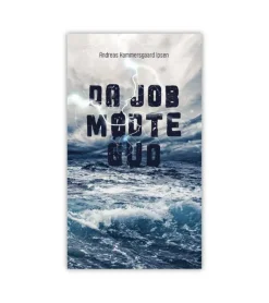 Lohse Da Job mødte Gud* Sorg Og Lidelse|Bøger Om Livet