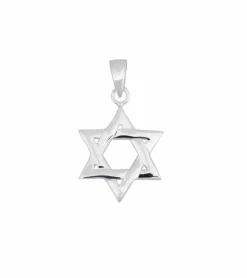 Praisent Davidsstjerne, vedhæng* Konfirmation|Gave-ideer