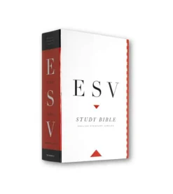 Europe3:16 ESV Study Bible* Tro (eng)|Engelske Bøger