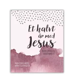 Lohse Et halvt år med Jesus* Teenagere|Bøger Om Tro