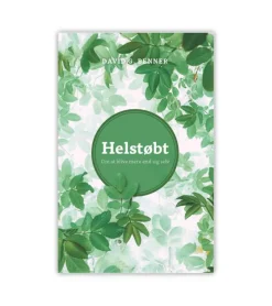 Boedal Helstøbt af David G Benner* Psykologi Og Sjælesorg|Bøger Om Livet