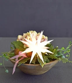 Herrnhuter Stjerne, Hvid, Plast, 13 cm LED* Jul|Højtider