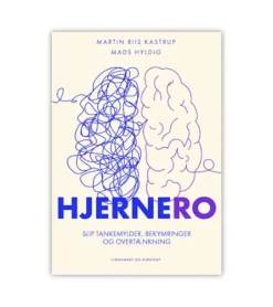 Andre HjerneRo af Martin Riis Kastrup og Mads Hyldig* Psykologi Og Sjælesorg|Bøger Om Livet