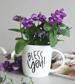 MeAndMyHouse Krus: Bless You* Studentergaver|Gave-ideer