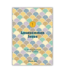 Lohse Løsesummen Jesus af Sverre Bøe* Teenagere|Bøger Om Tro