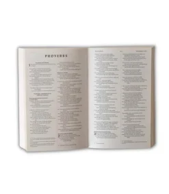 Andre NIV Holy Bible, paperbag* Bøger Om Tro|Bibelen På Engelsk