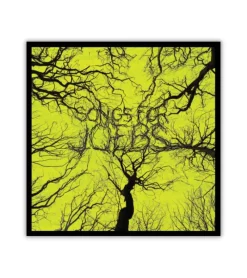 Songs for Joebs – CD* Bøger Om Tro|Cd´er